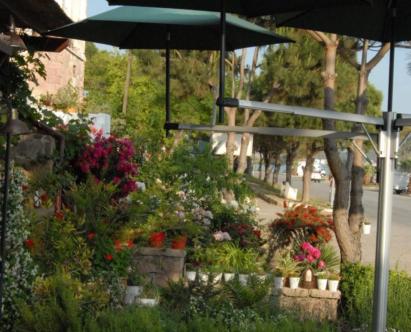 Aliye Hanim Hotel Ayvalik Guest house
